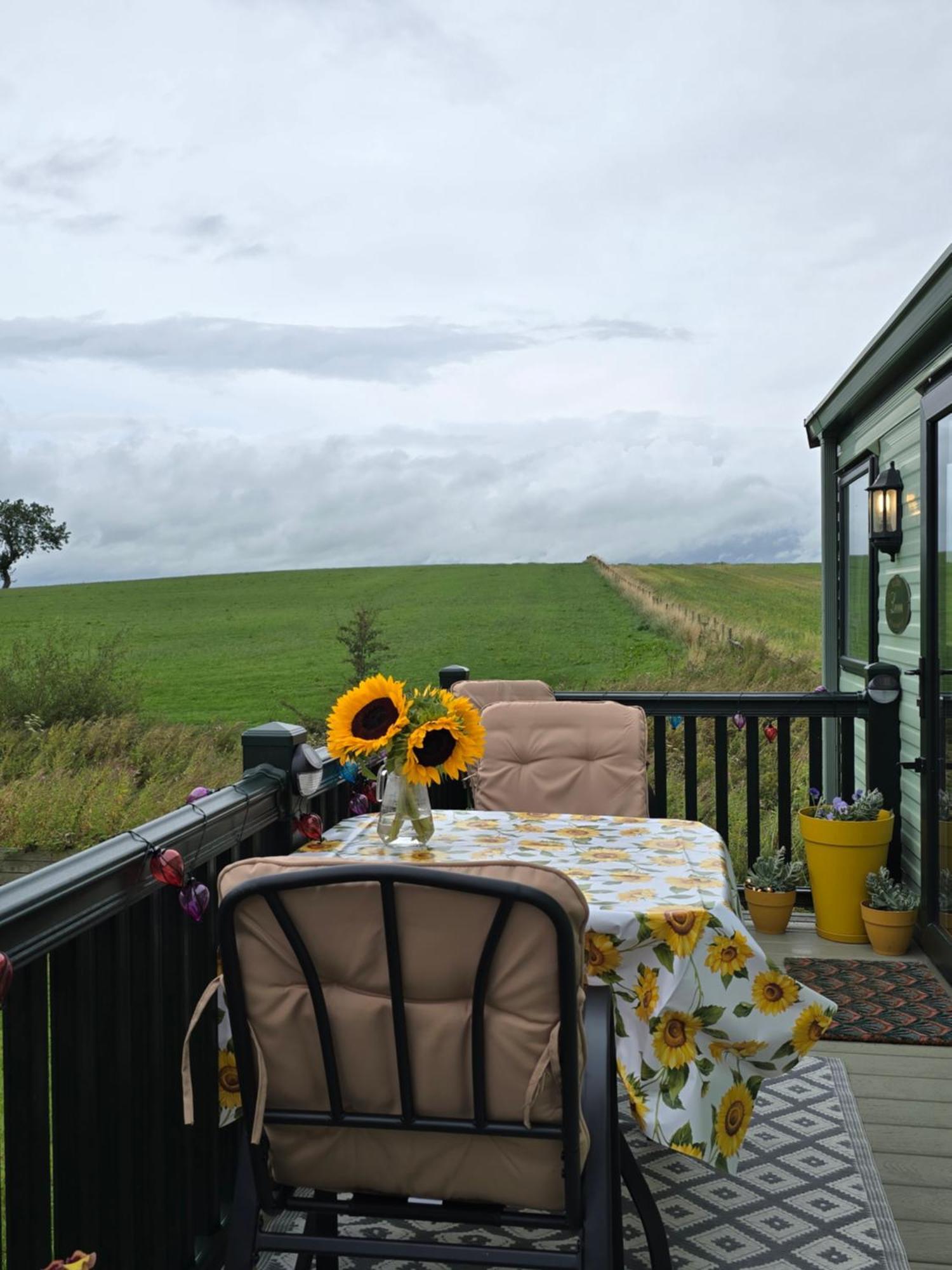 Caravan E6, The Miron Gisburn